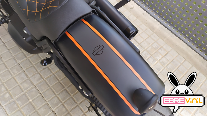harley davidson unicas personalizadas