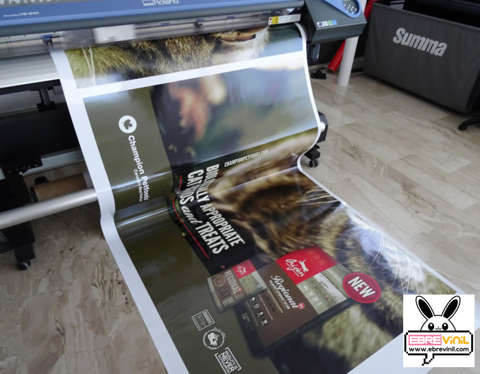 impresiones gran formato vinilo adhesivo