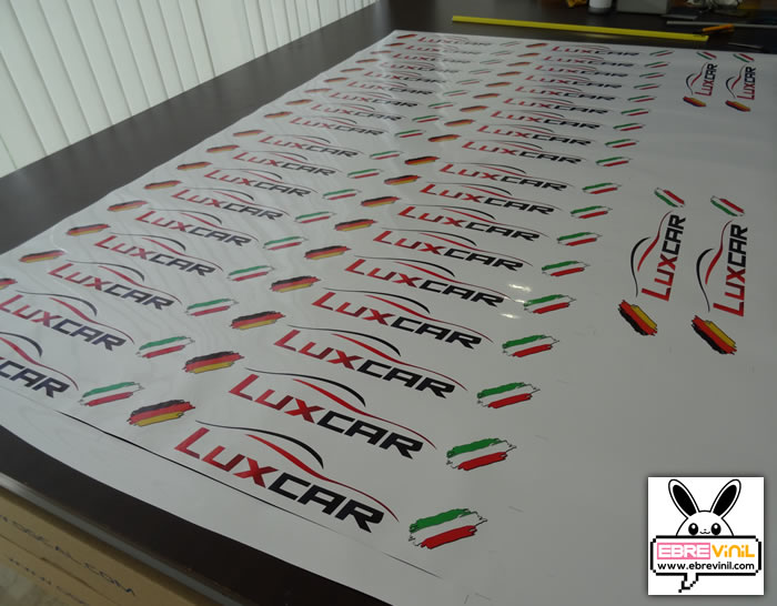 decoración matrículas vehiculos personalizadas con vinilos