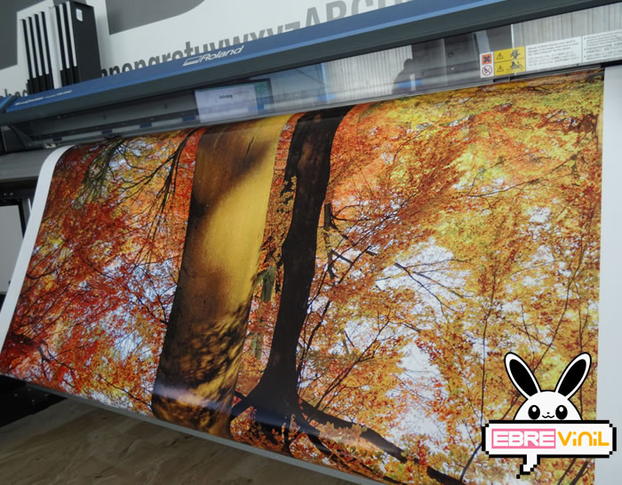 impresiones vinilo murales