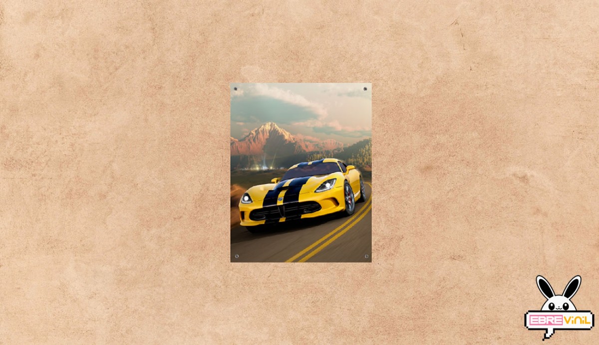 lonas impresas decorativas con coches