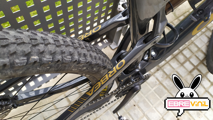 orbea vinilos