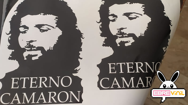 eterno camarón, vinilos decorativos