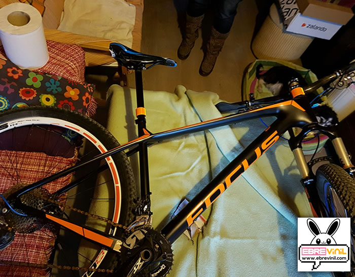 pegatinas mtb personalizadas al mejor precio de internet