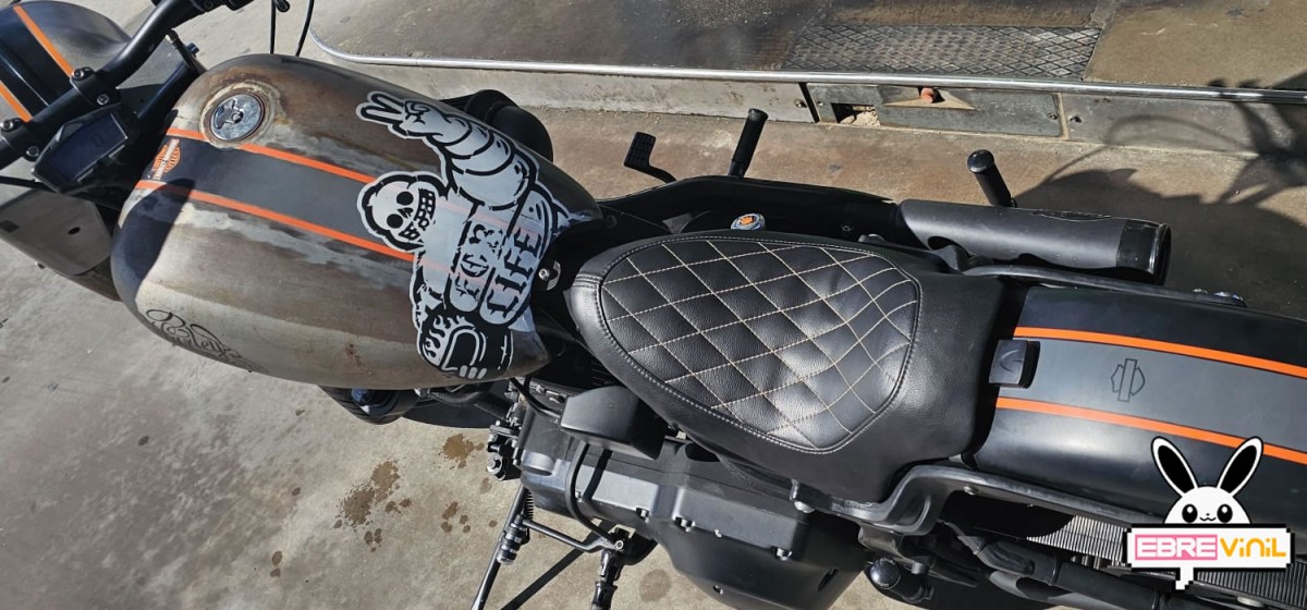 pegatinas para depósito Harley