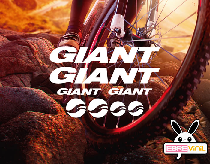 pegatinas vinilo bicicleta GIANT