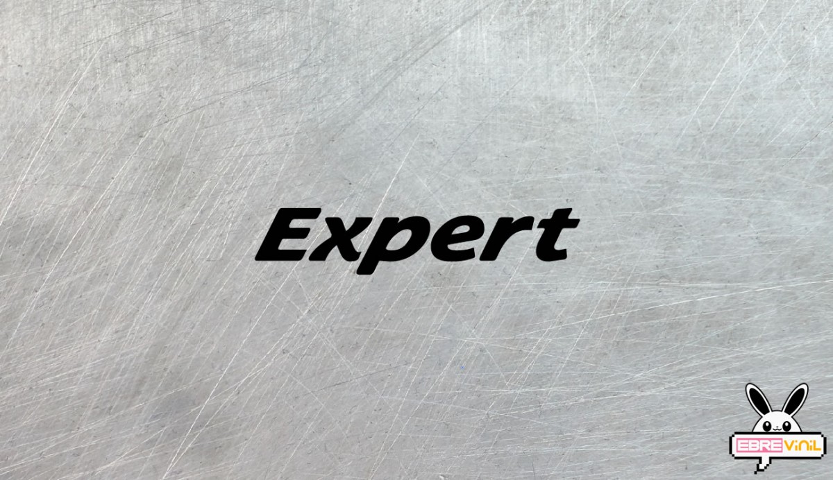 peugeot expert vinilos decorativos