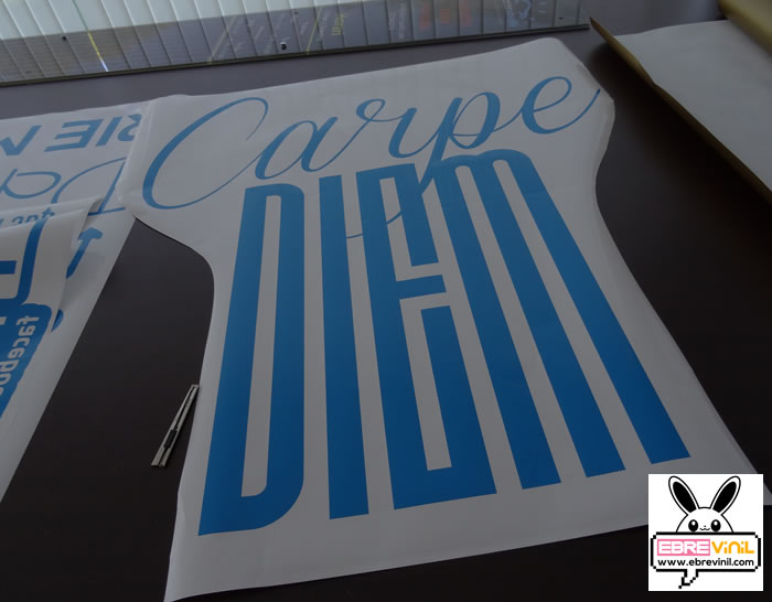vinilo decorativo de texto especial decoración de interiores