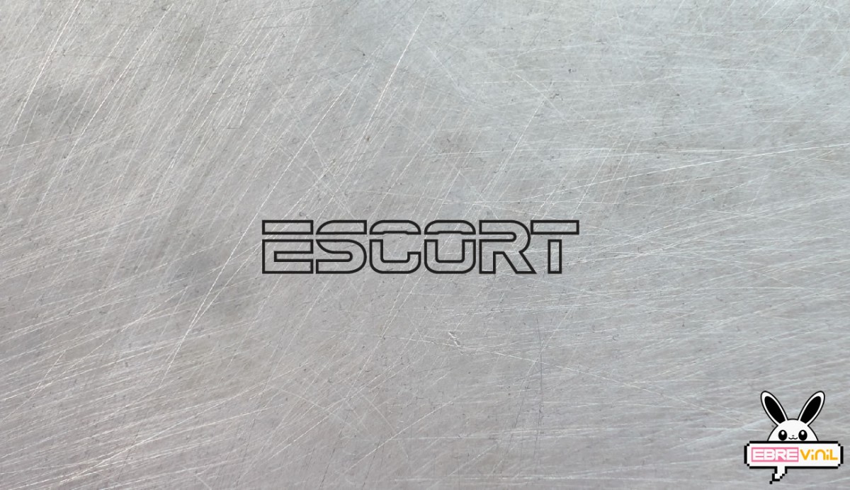 vinilos adhesivos ford escort