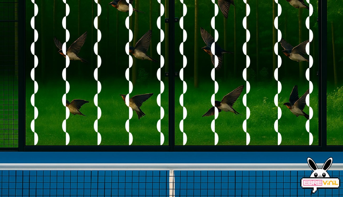 vinilos adhesivos pistas de padel pajaros aves