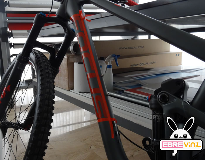 vinilos bicicletas focus raven