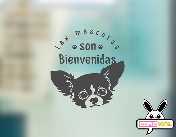 vinilos cristales mascotas