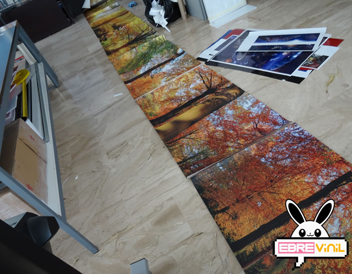 vinilos decorativos murales personalizados