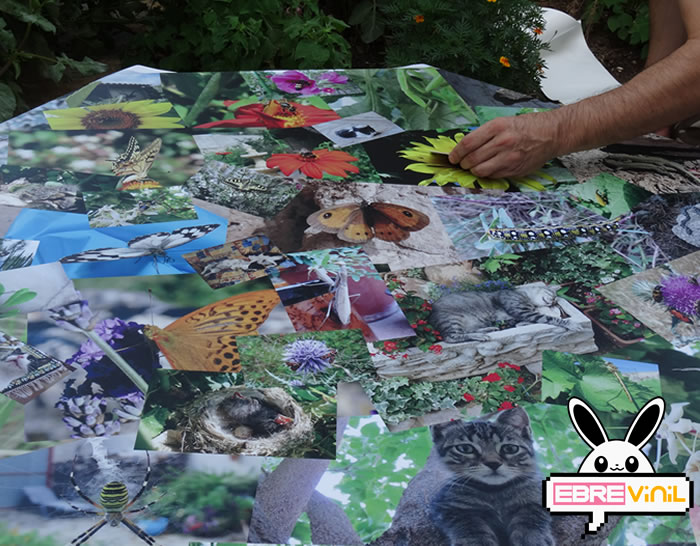 vinilos decorativos personalizados venta online