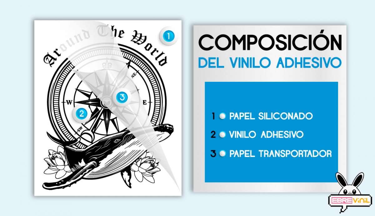 vinilos furgonetas caravanas